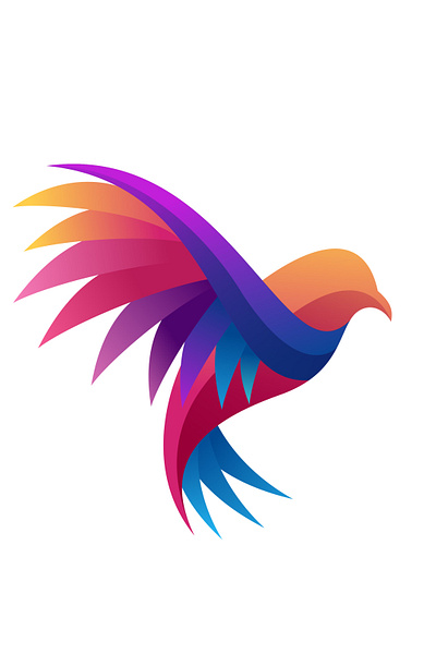 Blazing Sparrow branding design graphic design illustration logo vector