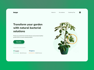 Tempo Plants - Natural Bacterial Solutions clean design flat graphic design hero home home page landing page simple ui ux web web page website website design