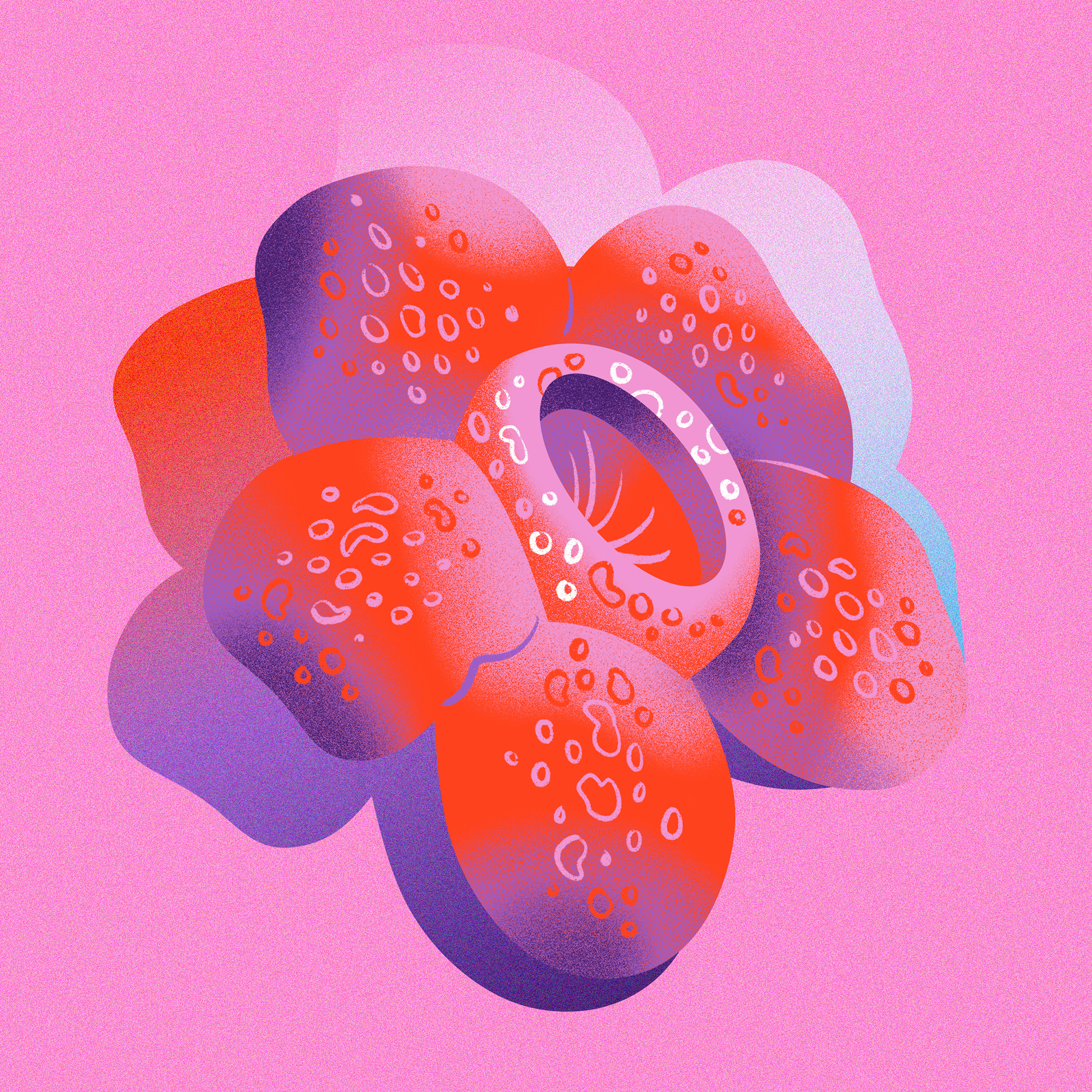 Corpse Flower corpse flower drawing floral gradient illustration jordan kay jungle limited color limited palette nature purple rainbow red shadow stinky texture tropical