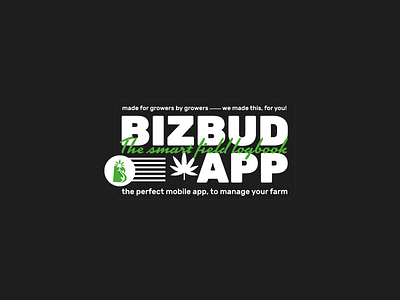 Graphic Design - Bizbud App branding design graphic design logo