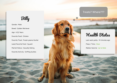 Daily UI Day 73 - Virtual Reality daily ui daily ui day 73 dailyui day 73 design dog dogs pet pets stats status ui ux virtual virtual reality