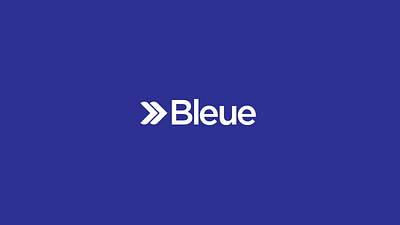 Bleue option 01 brand brand identity brand logo branding identity logo parking app wordmark