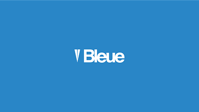Bleue Option 02 brand brand identity branding design graphic design identity logo minimal logo parking app wordmark