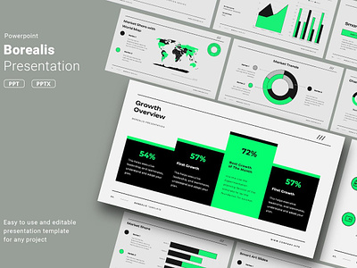 Borealis Presentation Template clean colorful company corporate google slides keynote modern multipurpose multipurpose template photography pitch deck portfolio powerpoint presentation studio template unique web design web development website