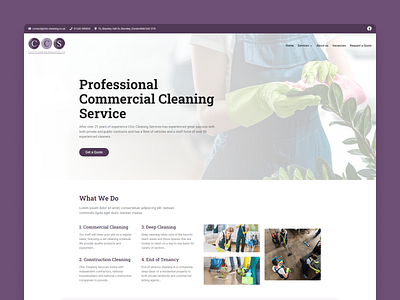 Cleaning Company Website Design cleaning corporate landing purple ui ux web design website