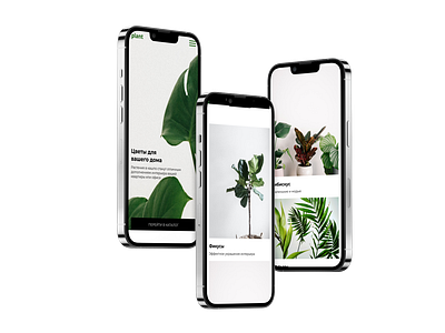 Plant shop mobile app branding design junior logo ui