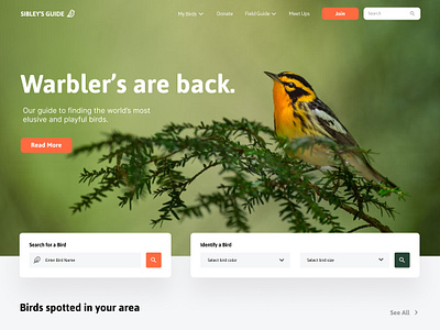 Birding Website Concepts - Sibley's Guide branding design graphic design illustration logo ui ux vector