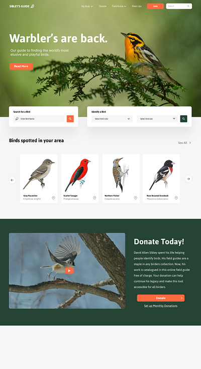 Birding Website Concepts - Sibley's Guide branding design graphic design illustration logo ui ux vector