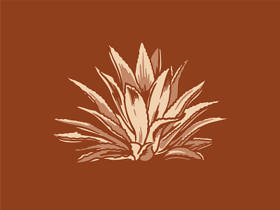 Agave Illustration agave bandana cactus design fort worth illustration illustrator plant rust spot texas western