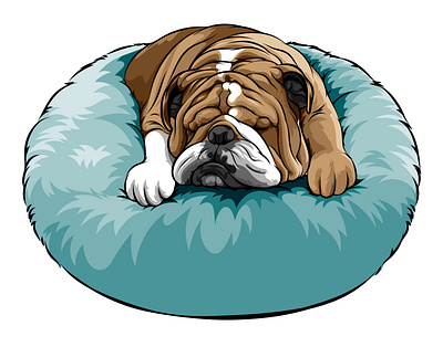 Vector Portrait Pet Illustration - bulldog vector illustration