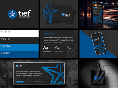 Tief - Education Fund Logo branding graphic design logo