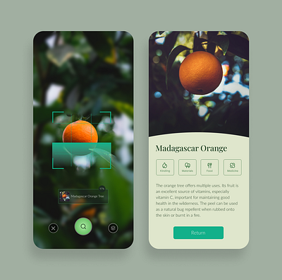Plant ID app for Bushcrafters app design typography ui ux