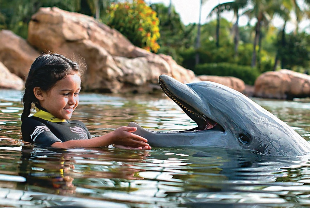 Unveiling the Enchanting Wonders: Orlando's Discovery Cove by isango01 