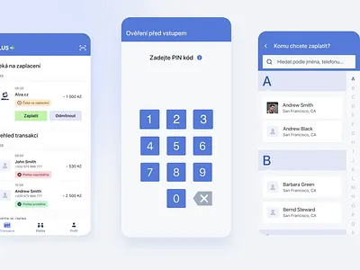 Roger+ mobile app animation animation bank dactylgroup design designer developers finance mobile app payments ui users ux