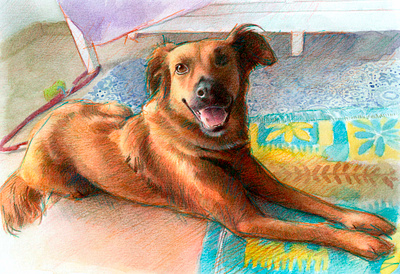 Kokoni dog realistic portrait drawing dogdrawing dogportrait dogrealisticdrawing dogrealisticportrait kokonidog kokoniportrait kokoniportraitdrawing mentiradeloro pencil portrait watercolor watercolour