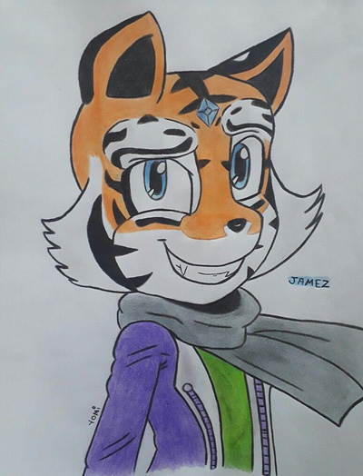 Sonic OC Male Character animal anime art artist drawing fancharacter illustration sonic sonicfancharacter sonicharacter sonicoc sonicthehedgehog sonicthehedgehogart tiger tigercharacter traditionalart traditionaldrawing