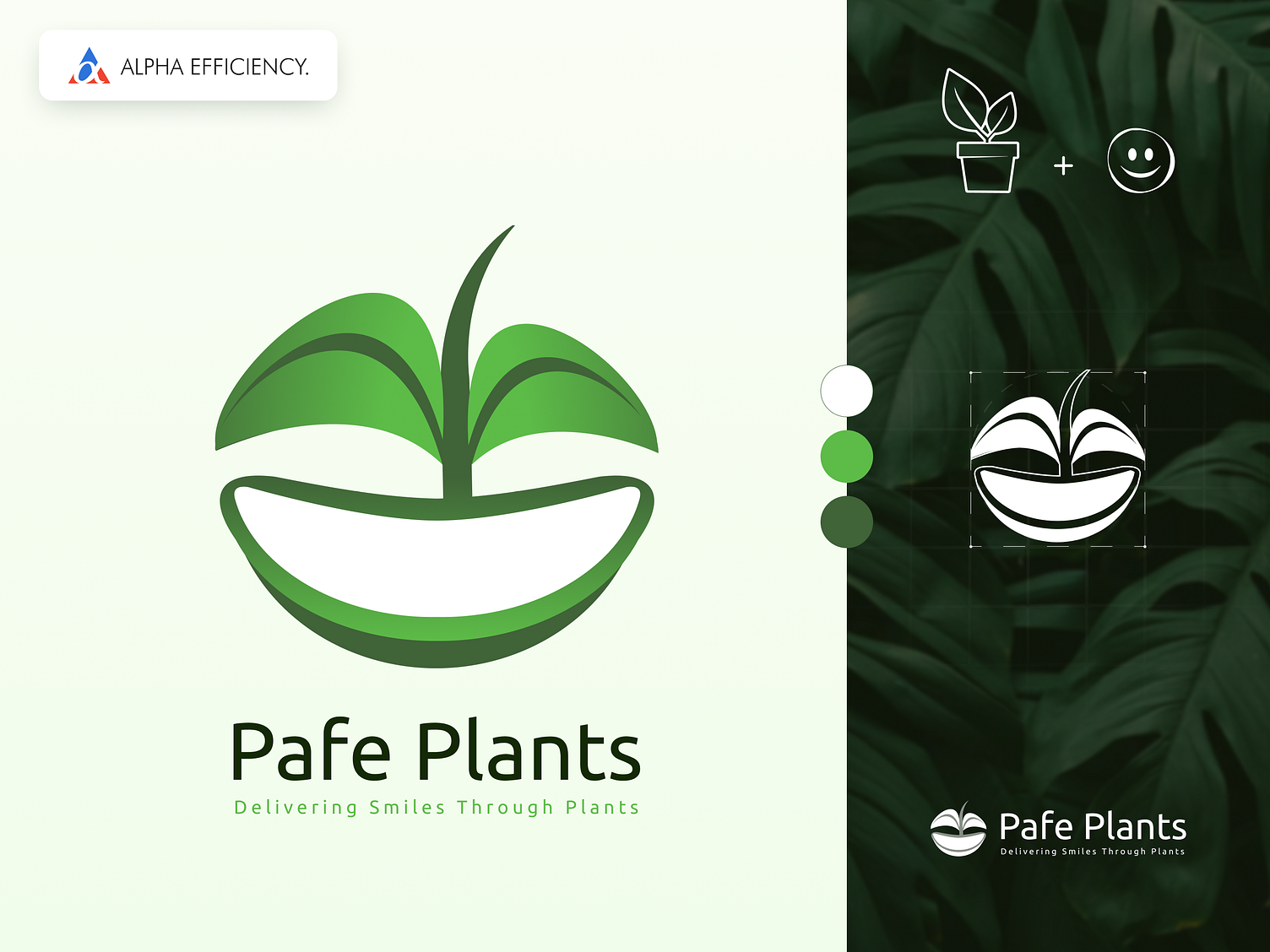 Pafe Plants Logo Design by Alpha Efficiency on Dribbble