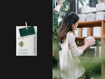 Package design aesthetics brand branding community design earth flower garden graphic design green layout london package design plant pottery print seed seed package urban visual design
