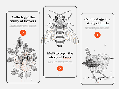 Walkthrough Illustrations app design bee study bird character design concept digital art education app flat vector flower study illustration mobile ui walkthrough illustration