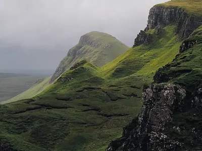 Daily UI Challenge - Day 45: Info Card 100days 100daysofdesign card challenge dailydesign day45 design designer designs designthinking facts figma graphic design illustration infocard information knowledge ui uiuxdesign ux