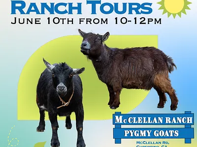 Ranch Tours Week 2 branding design graphic design illustration logo social media typography
