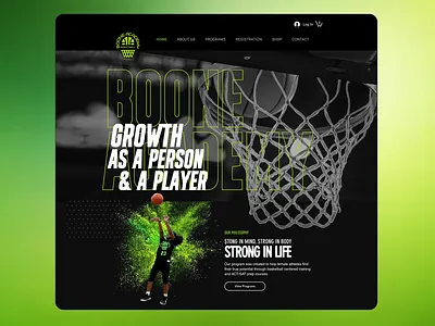 Basketball Team Website illustration logo website website design