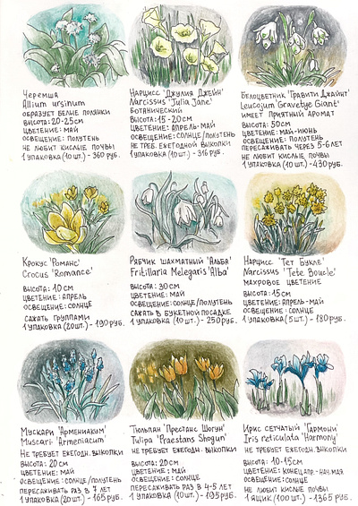 village sketchbook art design flowers illustration picture