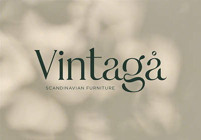 Vintaga logo branding design graphic design logo