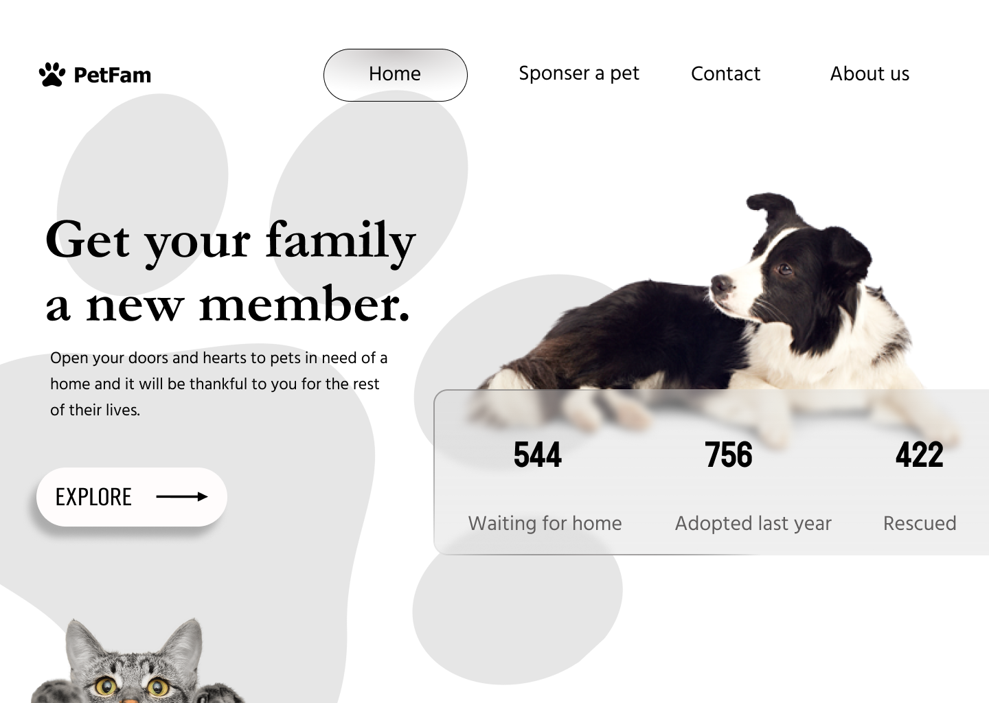 Pet Adoption site by Yash Srivastav on Dribbble