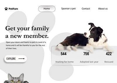 Pet Adoption Website beginner design figma graphic design uiux userinterface webdesign