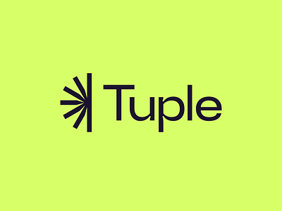 Tuple • Branding brand brand guidelines brand identity branding code editor color palette guidelines it logo visual identity