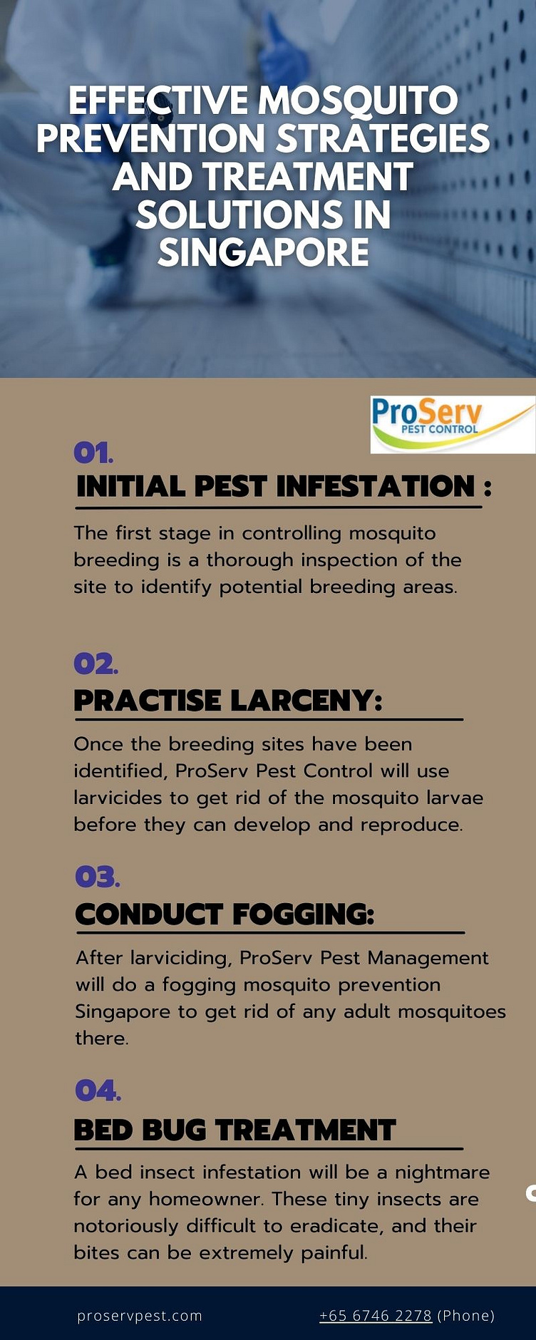 Effective and Affordable Bed Bug Treatment Solutions by ProServ by Proserv Pest on Dribbble