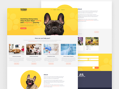 Dog Fertility Clinic Website Design clinic corporate dog landing pet ui ux vet web design website yellow