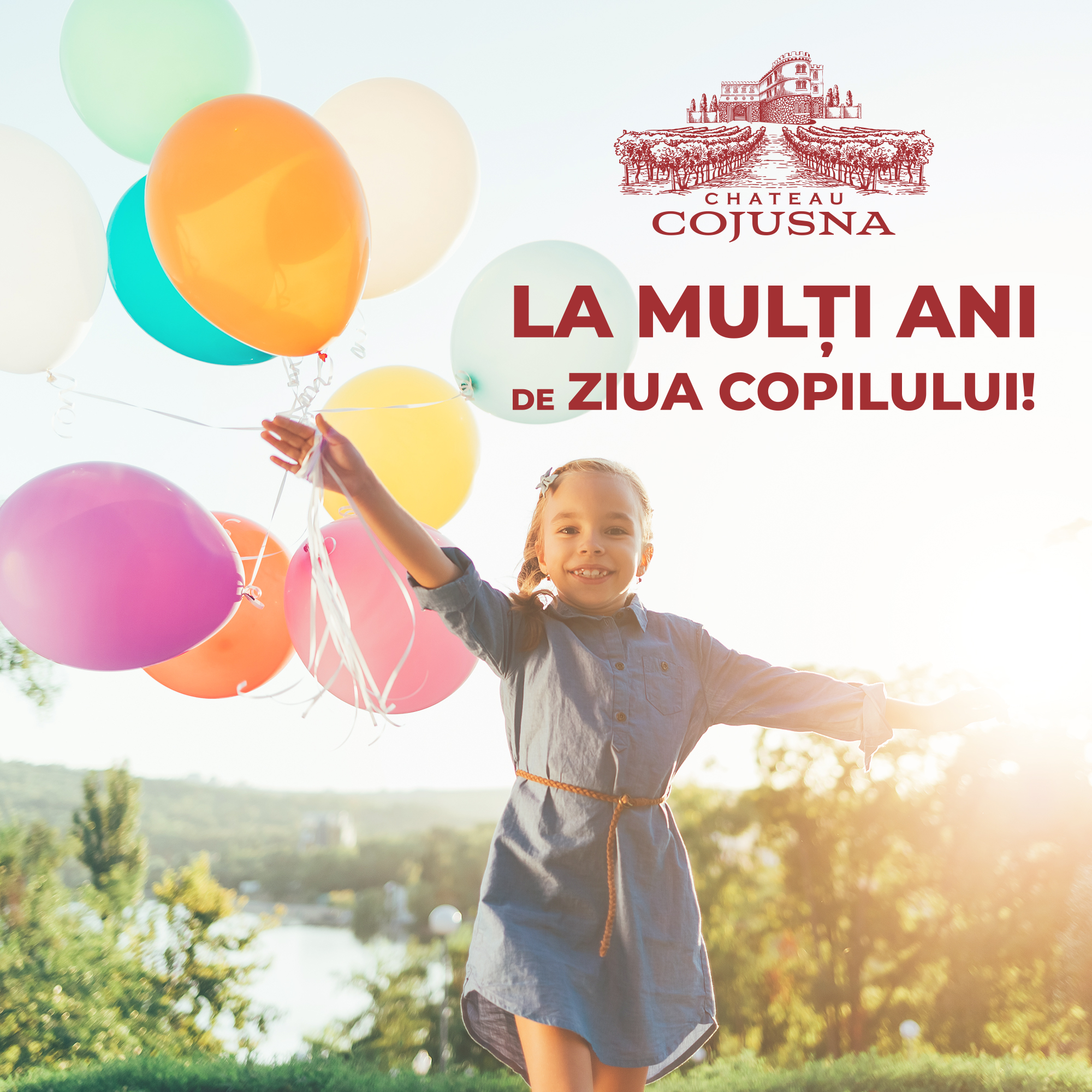 Example of Cromatix SMM Post for Children's Day 2023 client Chateau Cojușna