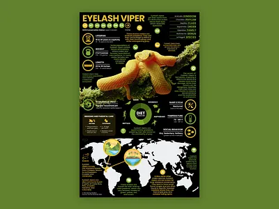 Eyelash Viper Poster education snake snake art snake infographic snake poster viper