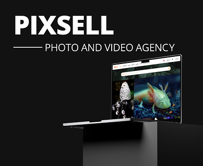 PIXSELL - Photo and video agency agency backend cms design edit editor finance frontend image mobile photo redesign responsive roles ui upload ux video web website