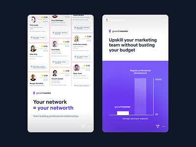 GrowthMentor - IG Story Ads instagram ads