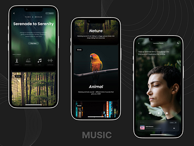 Ambient Sounds & Music application for meditation and body relax graphic design meditation music relax sound ui