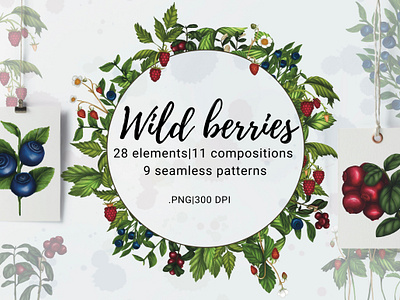 Wild berries. Collection of digital illustrations design illustration