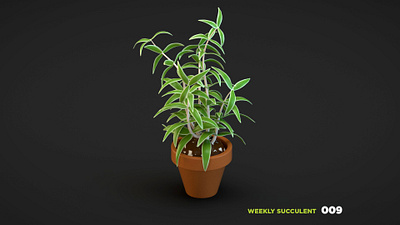 Weekly Succulent 009 3d blender c4d cinema 4d illustration lowpolly plant render succulent