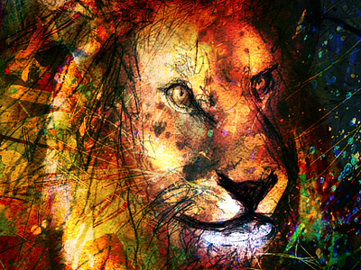 Lion dans la brousse