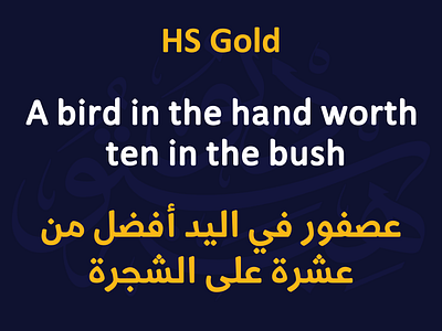HS Gold font from HibaStudio arabic arabic font arabic type arabic type design branding design english font graphic design hasanabuafash hibastudio illustration modern naskh persian font typography vector