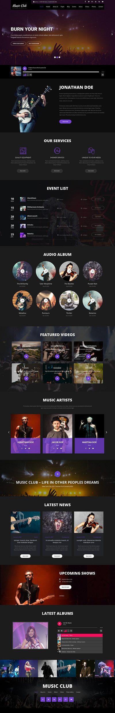 Music Website branding design graphic design ui ux website wordpress