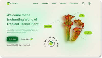 Landing Page Design(Plants) adobe xd animation figma freelancer graphic design landing page plants ui uxdesign