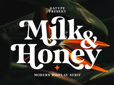 Milk and Honey Font app branding creativefabrica design fonts graphic design handwriting illustration logo ui