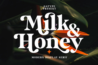 Milk and Honey Font app branding creativefabrica design fonts graphic design handwriting illustration logo ui