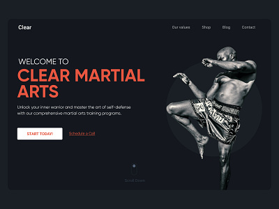 Clear Martial Arts | Professional Training boxing branding design fitness karate landingpage martial martialarts mma ui ux