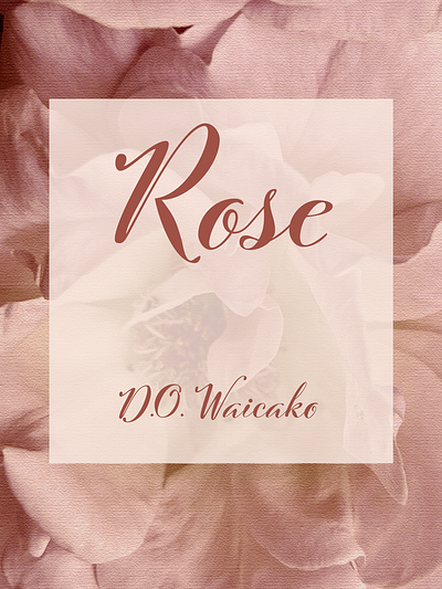 Wine design flowers illustration labels rose wine