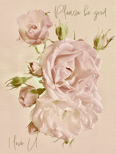 A card card flower illustration pink roses