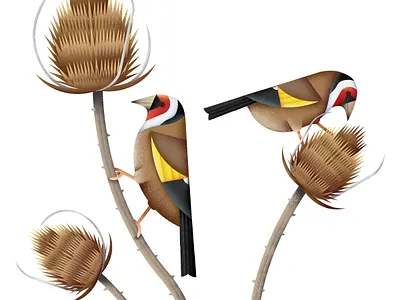Goldfinches art digital illustration vector
